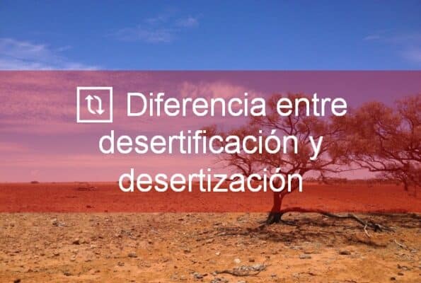 diferencia entre desertificación y desertización