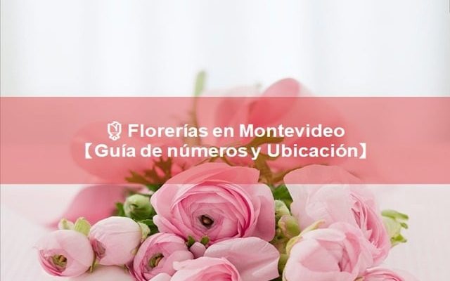 las mejores Librerías en montevideo